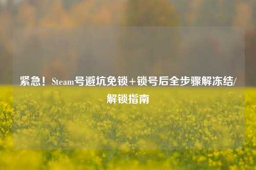 紧急！Steam号避坑免锁+锁号后全步骤解冻结/解锁指南