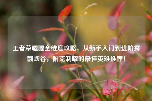 王者荣耀曜全维度攻略，从新手入门到进阶秀翻峡谷，附克制曜的更佳英雄推荐！