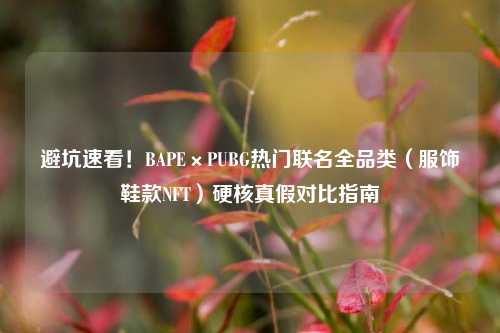 避坑速看！BAPE×PUBG热门联名全品类（服饰鞋款NFT）硬核真假对比指南