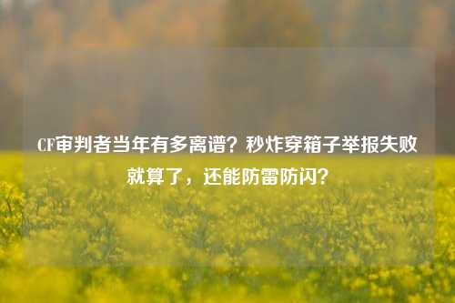 CF审判者当年有多离谱？秒炸穿箱子举报失败就算了，还能防雷防闪？