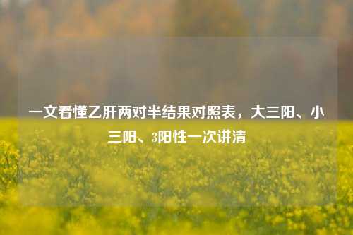 一文看懂乙肝两对半结果对照表，大三阳、小三阳、3阳性一次讲清