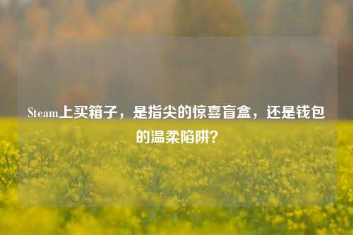 Steam上买箱子，是指尖的惊喜盲盒，还是钱包的温柔陷阱？