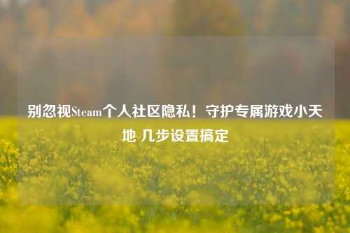 别忽视Steam个人社区隐私！守护专属游戏小天地 几步设置搞定