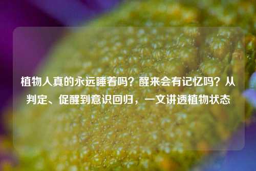植物人真的永远睡着吗？醒来会有记忆吗？从判定、促醒到意识回归，一文讲透植物状态