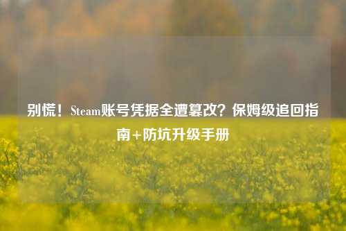 别慌！Steam账号凭据全遭篡改？保姆级追回指南+防坑升级手册