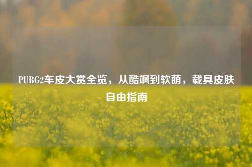 PUBG2车皮大赏全览，从酷飒到软萌，载具皮肤自由指南