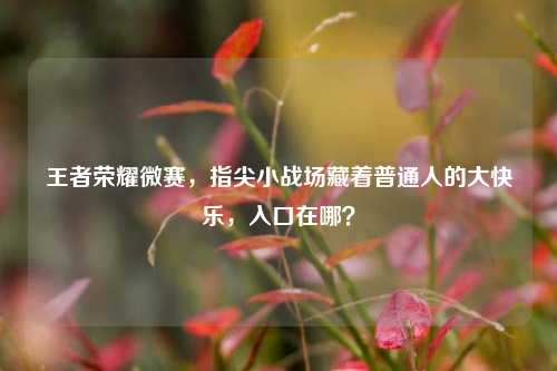 王者荣耀微赛，指尖小战场藏着普通人的大快乐，入口在哪？