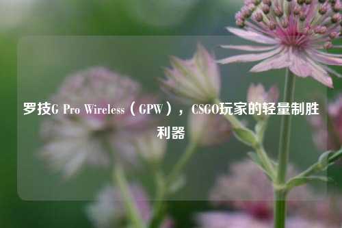 罗技G Pro Wireless（GPW），CSGO玩家的轻量制胜利器