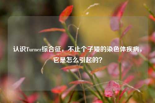 认识Turner综合征，不止个子矮的染色体疾病，它是怎么引起的？