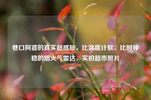 巷口阿婆的真实超感知，比温度计软、比时钟稳的烟火气雷达，实拍超市照片