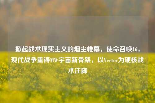 掀起战术现实主义的烟尘帷幕，使命召唤16，现代战争重铸MW宇宙新骨架，以Vector为硬核战术注脚