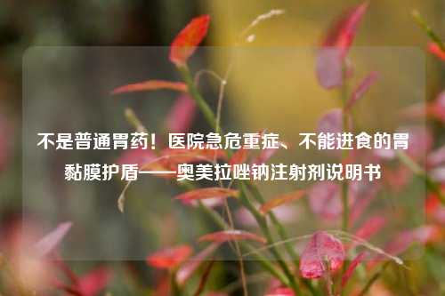 不是普通胃药！医院急危重症、不能进食的胃黏膜护盾——奥美拉唑钠注射剂说明书