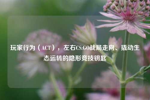 玩家行为（ACT），左右CS:GO战局走向、撬动生态运转的隐形竞技钥匙