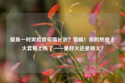 摸鱼一时爽脸冒痘嘴长泡？警惕！你的熬夜上火套餐上线了——是肝火还是肺火？