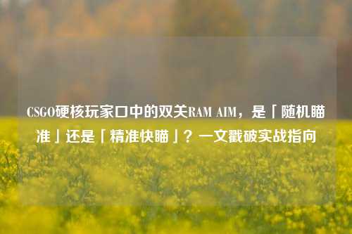 CSGO硬核玩家口中的双关RAM AIM，是「随机瞄准」还是「精准快瞄」？一文戳破实战指向