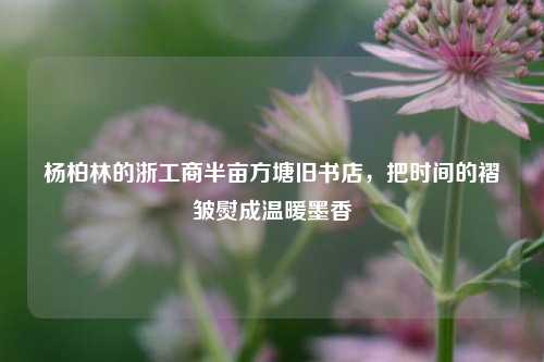 杨柏林的浙工商半亩方塘旧书店，把时间的褶皱熨成温暖墨香