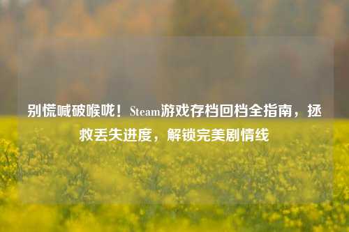 别慌喊破喉咙！Steam游戏存档回档全指南，拯救丢失进度，解锁完美剧情线