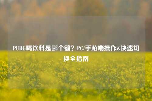 PUBG喝饮料是哪个键？PC/手游端操作&快速切换全指南