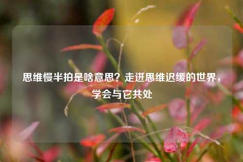 思维慢半拍是啥意思？走进思维迟缓的世界，学会与它共处