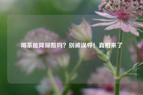 喝茶能降尿酸吗？别被误导！真相来了