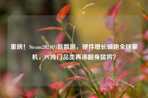 重磅！Steam2024Q3新数据，硬件增长领跑全球掌机，PC冷门品类再添翻身猛将？