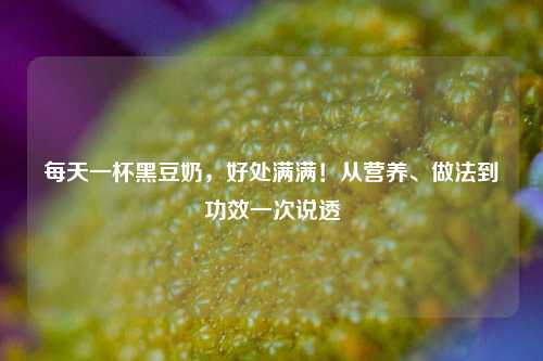 每天一杯黑豆奶，好处满满！从营养、做法到功效一次说透