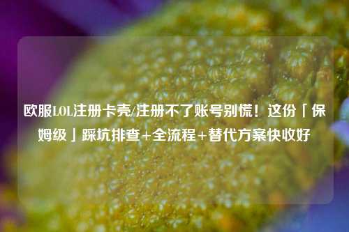 欧服LOL注册卡壳/注册不了账号别慌！这份「保姆级」踩坑排查+全流程+替代方案快收好