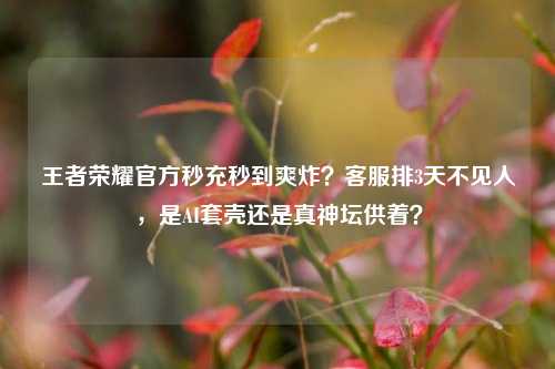 王者荣耀官方秒充秒到爽炸?客服排3天不见人,是AI套壳还是真神坛供着?