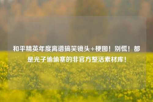 和平精英年度离谱搞笑镜头+梗图！别慌！都是光子偷偷塞的非官方整活素材库！