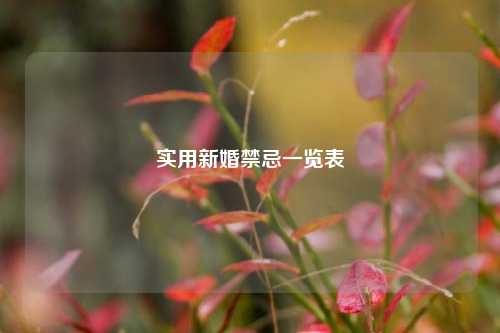 实用新婚禁忌一览表