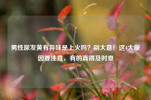 男性尿发黄有异味是上火吗？别大意！这4大原因要注意，有的真得及时查