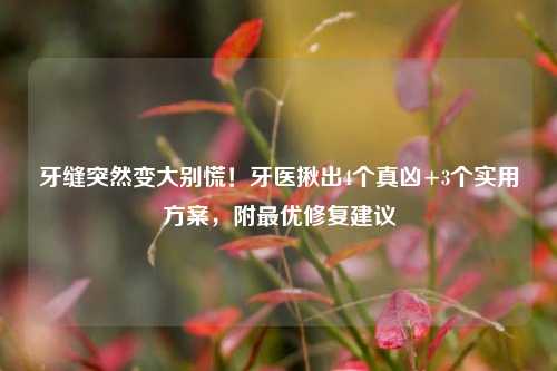 牙缝突然变大别慌！牙医揪出4个真凶+3个实用方案，附更优修复建议