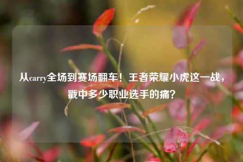 从carry全场到赛场翻车！王者荣耀小虎这一战，戳中多少职业选手的痛？