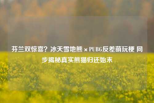 芬兰双惊喜？冰天雪地熊×PUBG反差萌玩梗 同步揭秘真实熊猫归还始末