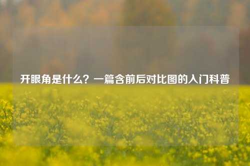 开眼角是什么？一篇含前后对比图的入门科普
