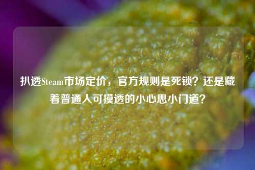 扒透Steam市场定价，官方规则是死锁？还是藏着普通人可摸透的小心思小门道？