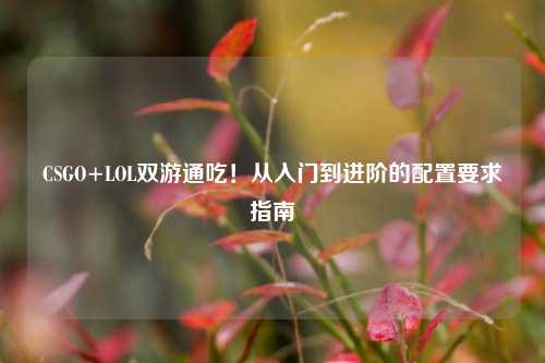 CSGO+LOL双游通吃！从入门到进阶的配置要求指南