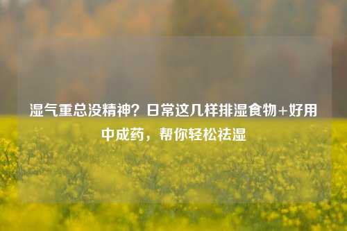 湿气重总没精神？日常这几样排湿食物+好用中成药，帮你轻松祛湿