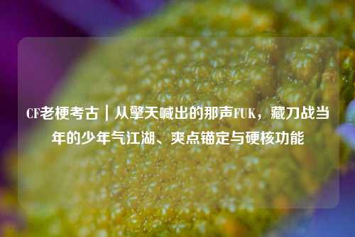 CF老梗考古｜从擎天喊出的那声FUK，藏刀战当年的少年气江湖、爽点锚定与硬核功能
