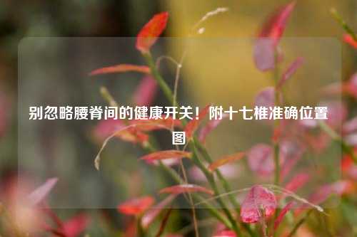别忽略腰脊间的健康开关！附十七椎准确位置图