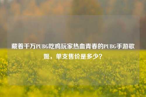 藏着千万PUBG吃鸡玩家热血青春的PUBG手游歌姬，单支售价是多少？