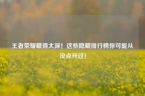 王者荣耀藏得太深！这些隐藏排行榜你可能从没点开过！