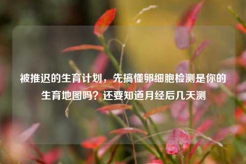 被推迟的生育计划，先搞懂卵细胞检测是你的生育地图吗？还要知道月经后几天测