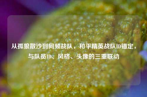 从孤狼散沙到同频战队，和平精英战队ID锚定，与队员ID、风格、头像的三重联动