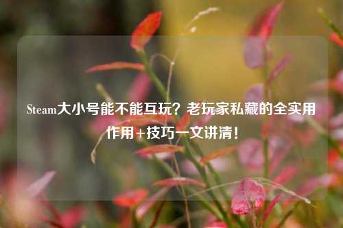 Steam大小号能不能互玩？老玩家私藏的全实用作用+技巧一文讲清！