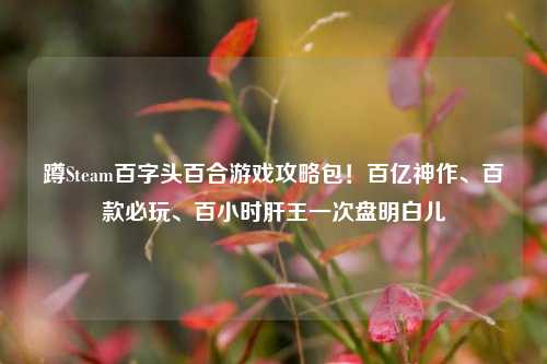 蹲Steam百字头百合游戏攻略包！百亿神作、百款必玩、百小时肝王一次盘明白儿