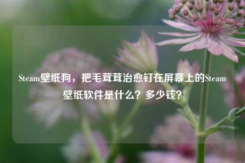Steam壁纸狗，把毛茸茸治愈钉在屏幕上的Steam壁纸软件是什么？多少钱？