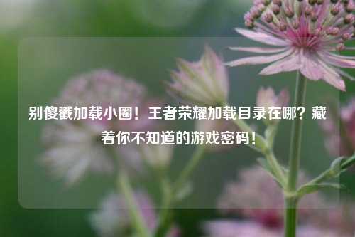 别傻戳加载小圈！王者荣耀加载目录在哪？藏着你不知道的游戏密码！