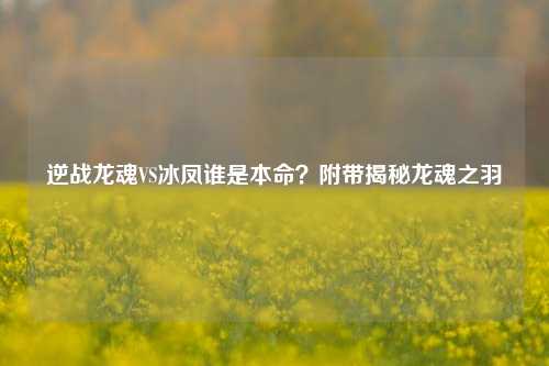逆战龙魂VS冰凤谁是本命？附带揭秘龙魂之羽