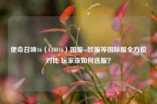 使命召唤16（COD16）国服vs欧服等国际服全方位对比 玩家该如何选服？